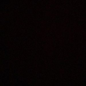 Meet your Posher, Leonard